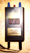 beat bug photo